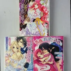 斎王ことりTL小説３冊セット ピアノ姫は蜜夜に喘ぐ 薔薇は甘く