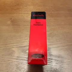 ●江原道 アクアファンデーション 113 30ml