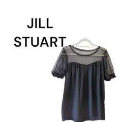 si442【JILL STUART】オーガンジードッキング半袖トップス　レースのサムネイル