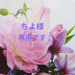 ちよ様専用です♪　色鉛筆画