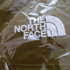 THE NORTH FACE Climb Light Jacket