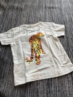 ビームス ミニ　ヒョウプリント Tシャツ 半袖のサムネイル