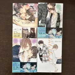 2026年最新】美しい彼 小説セットの人気アイテム - メルカリ