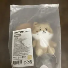 SEVENTEEN MINITEEN チャンダリ　ディノ