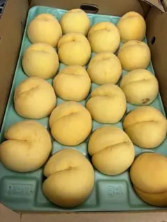長野県産 杏 新潟大実 訳あり 5キロ | Mercari