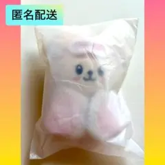 Straykids スキズ ペンミ 10cm ぬいぐるみ スンミン パピーム - メルカリ