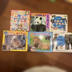 動物絵本セット 幼児向け