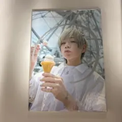 写真集 タレント写真集