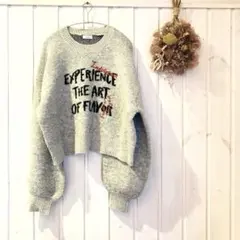 2024完売商品❣️LOWRLYS FARM ショート丈 ロゴニット グレー F