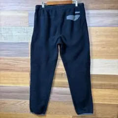 ブラック Patagonia FA15 パタゴニア シンチラ フリース パンツのサムネイル