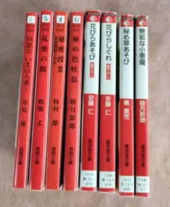 官能小説８冊セット