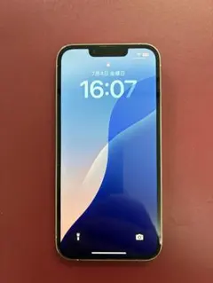 Item thumbnail for item 360fdc81-8006-458e-ad60-267159c1aeea