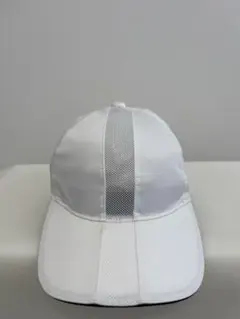 Item thumbnail for item 6b135abf-77d0-4bde-a53c-3d3fd833d0bd