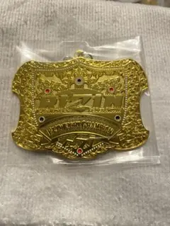 Item thumbnail for item 36d6f0ef-9947-4266-a203-5aa296571f4f