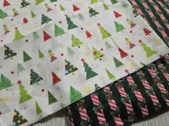SALE ✨【1点のみ】クリスマス柄 2枚アソート