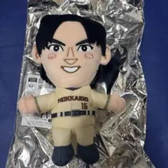 北海道日本ハムファイターズ 郡司裕也 ぬいぐるみ アミューズメント