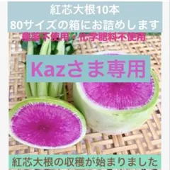農薬不使用　化学肥料不使用　安心　野菜　詰め合わせ