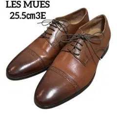 Item thumbnail for item ca346f19-bfe4-41d7-b741-d347ce516890