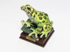 京都水族館 海洋堂 フィギュアコレクション ナゴヤダルマガエル - メルカリ