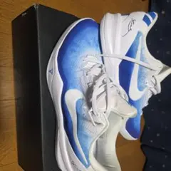 Nike Kobe 8 Protro 30cm us12