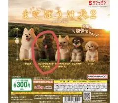 Item thumbnail for item 67d7722f-e65c-46dd-b71b-d0b9713c7d85