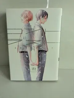 コントラスト itz ボーイズラブ漫画