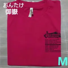 2016　御嶽山　 おんたけウルトラトレイルラン　マラソンTシャツのサムネイル