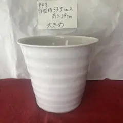 843 胡蝶蘭が入っていた植木鉢　大きめ　陶器　1鉢