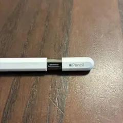 Apple Pencil USB-Cホワイト