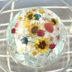 aー36 固まるハーバリウム　フラワードーム　小花いっぱい　春