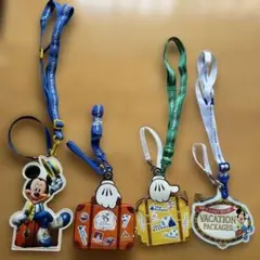 ディズニーリゾートバケーションパッケージパスケース