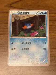 ミズゴロウ C 1ED XY5 タイダルストーム 012/070 ③ ミズゴロウ C 1ED XY5 タイダルストーム 012/070 ③ - メルカリ