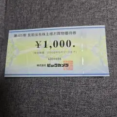 ビックカメラ 株式優待　1000円分