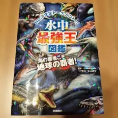 Item thumbnail for item c901fa61-8c74-465b-8f59-dde1538dd7eb