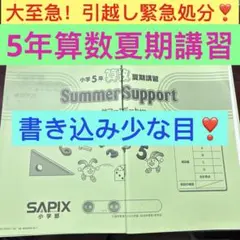 ⑳や SAPIX サピックス 小学4年 算数 夏期講習 サマーサピックス