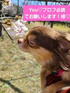 You♡プロフ必読でお願いします！様 リクエスト 2点 まとめ商品