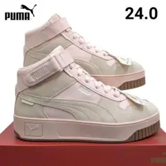 Item thumbnail for item 6ac9d2b3-b0df-4d8b-9ce9-306f52db35ae