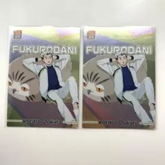 ハイキュー!! ピクタス　木兎光太郎