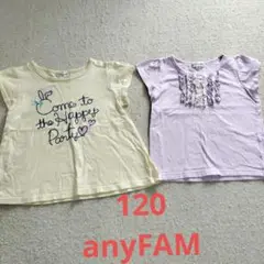 anyFAM　120　Tシャツセット