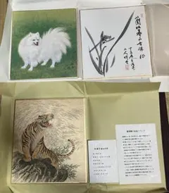 美品 ノーベル書房 絵師 菱川師宣 裏表 アートブック 作品集 芸術 絵