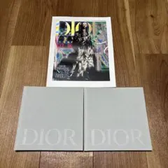 Dior 21ss ルックブック セット