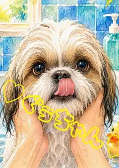 《一点限り》シーズー お風呂 濡れ顔 犬 水彩画