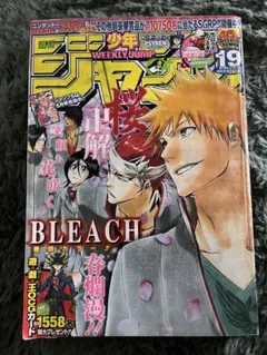 週刊少年ジャンプ 2010年 11号 BLEACH巻頭カラー エース最後回 - メルカリ