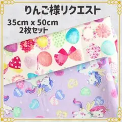 りんご＊プロフ必読＊様 リクエスト 2点 まとめ商品