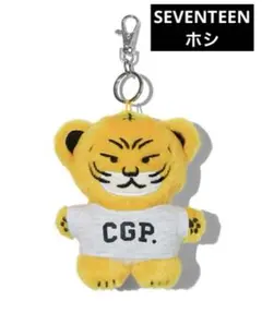 seventeen code graphy ホシ　キーリング　ケース seventeen code graphy ホシ キーリング コインケース 2025年