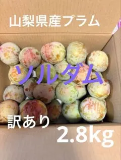 #山梨県産 プラム ソルダム 訳あり 2.8kgのサムネイル