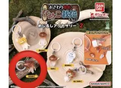 おさわり探偵 なめこ栽培キット めじるしアクセサリー2 - メルカリ