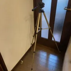 Item thumbnail for item 030386dd-b307-4093-8924-618f38ce2244