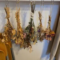 ドライフラワー 5束セット
