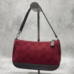 Coach Signature Wool Accessory Pouch